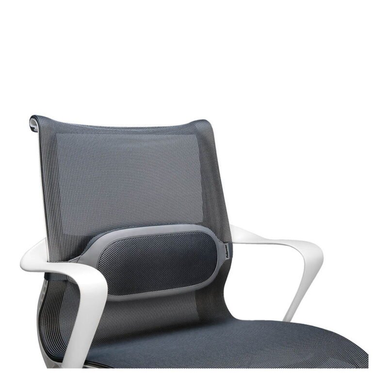 Fellowes Back Support